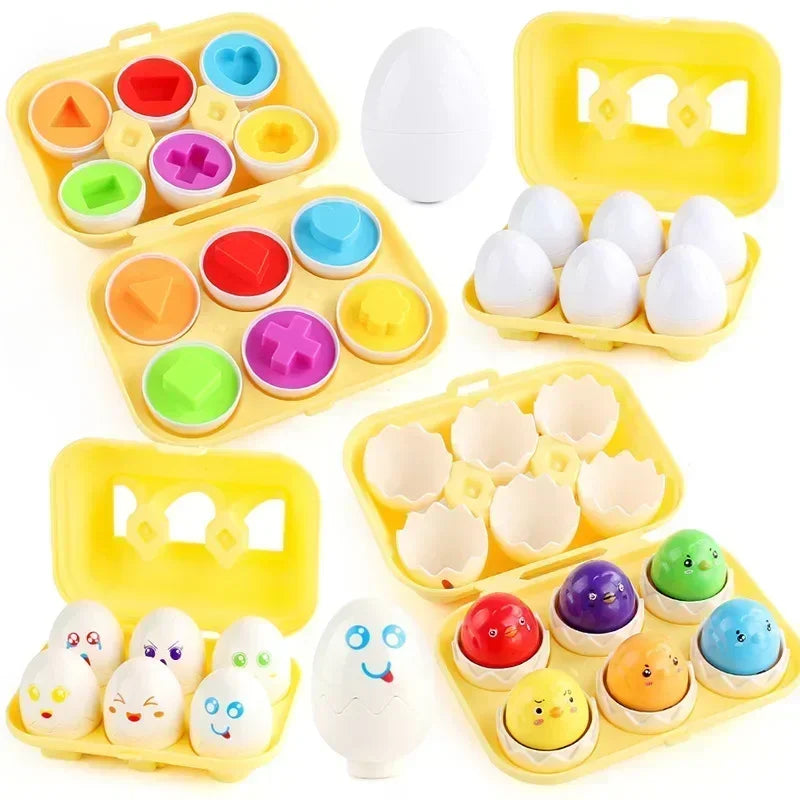 Educational Egg Toy