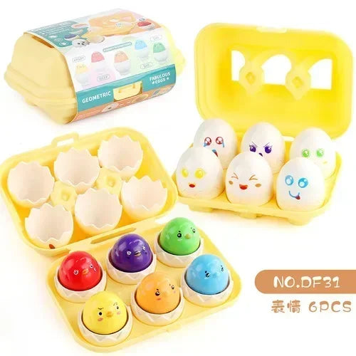 Educational Egg Toy