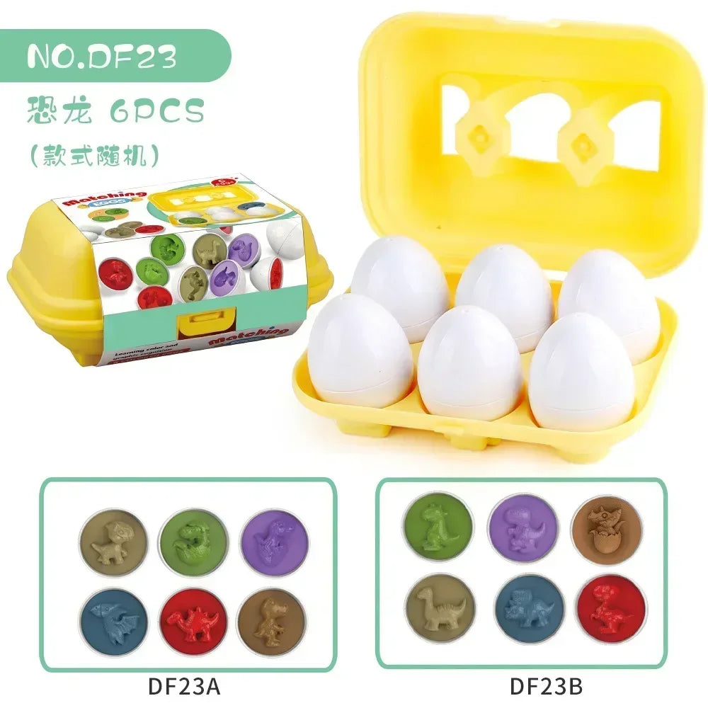 Educational Egg Toy