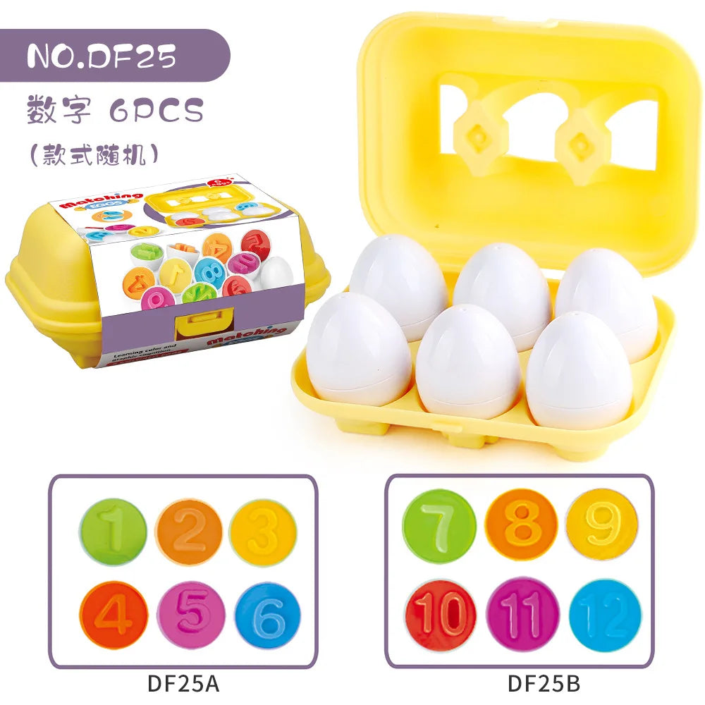 Educational Egg Toy