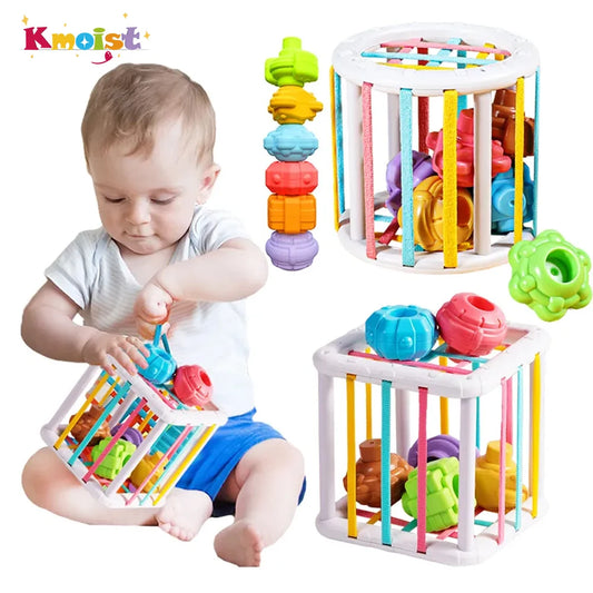 Shape Sorting Game