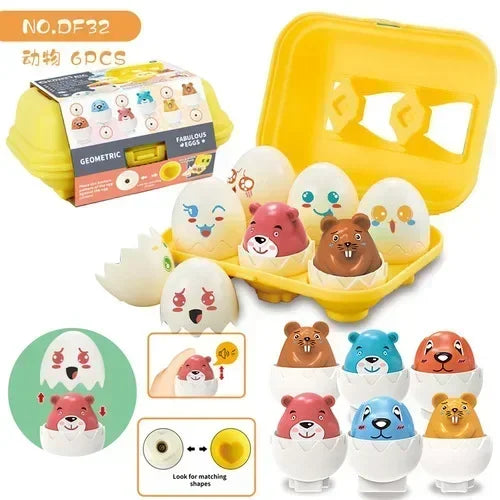 Educational Egg Toy