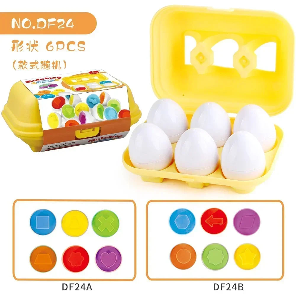 Educational Egg Toy